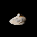 18K Gold Plated Mother of Pearl Band Ring