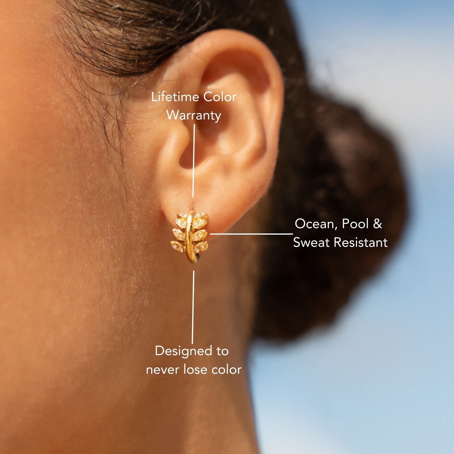 18K Gold Plated Laurel Leaf Hoop Earrings